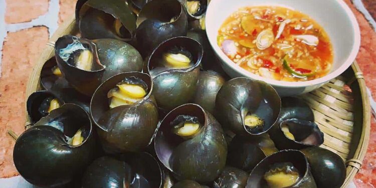 Thành phần dinh dưỡng có trong ốc bươu đen