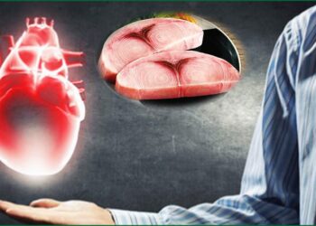 Cá kiếm để Hỗ Trợ Điều Trị Bệnh Tim Mạch