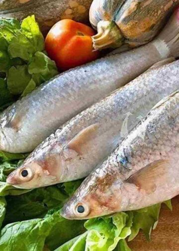 Cách Để Khám Phá Công Dụng Sức Khỏe của Cá Đối