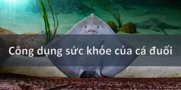 Cá Đuối: Một Nguồn Dinh Dưỡng Tuyệt Vời cho Sức Khỏe