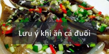 Lưu ý khi ăn cá đuối