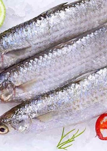 Cách Chọn và Bảo Quản Cá Đối Đúng Cách