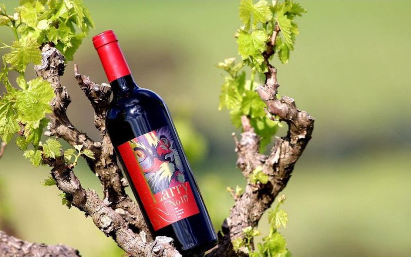 Rượu vang Úc Shiraz​  có hương vị của trái cây đen